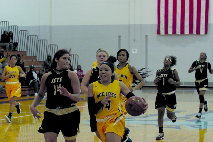 Guard Taia Parker (#14) defends against forward Anastasia Ramos of Jackson to contribute to the 74-61 win over the Jets on Nov. 8.
(Photo by David Vega, Staff Photographer)