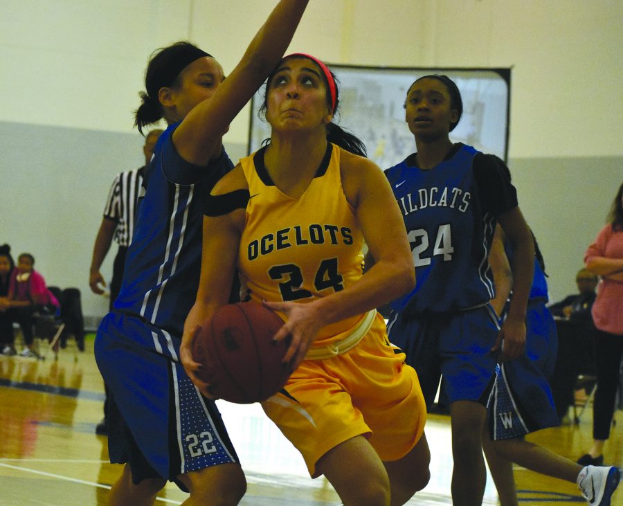 Ocelot Freshman guard Megan Sandiha drives the net against a Wayne County
Community College District Wildcats defender during their Pink Zone match,
Wednesday. The Women's basketball team defeated the Wildcats 83-54. Schoolcraft
held its 10th annual Pink Zone game benefiting the Play4Kay foundation in the
Schoolcraft gymnasium.
(Photo by Michael Rey)