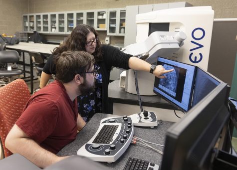 Director of Laboratory Sciences and Biology Professor Melissa Gury points to the monitor to show her Biology 140 student a detailed look at an object using the Electron Scanning Microscope.