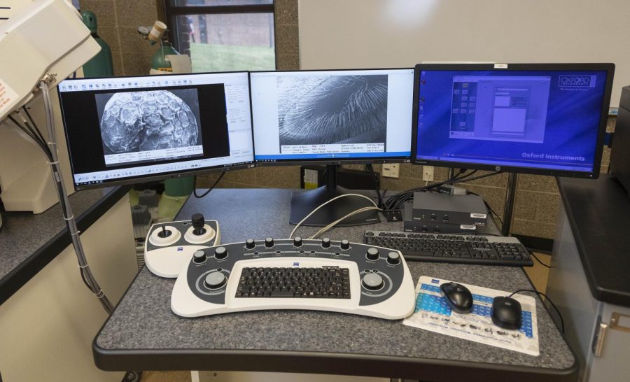 The monitor setup for viewing images rendered using the electron scanning microscope used in Biology 140.