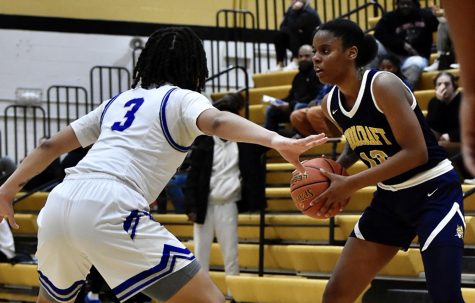 The Schoolcraft College Ocelots Womens basketball team lost a nailbiter to the Lakeland Lakers, 69-66 during the semifinals of the NJCAA Great Lakes District A at Mott Community College.