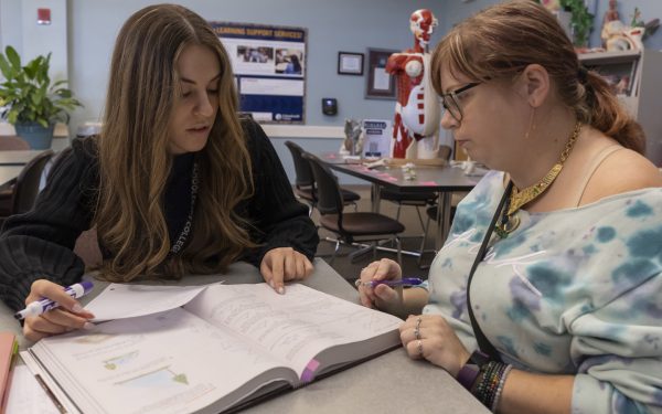 Students can take advantage of one on one tutoring in the Learning Center. Tutors are available in many subjects such a math and science based classes. (Photo courtesy of Schoolcraft College)
