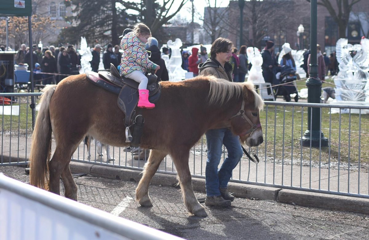 The Family Petting Zoo exhibit presented by Michigan First Credit Union which was located next to the Ice Playground offered pony rides this year  at the Plymouth Ice Festival in downtown Plymouth, Michigan. The festival ran Feb 2-4.