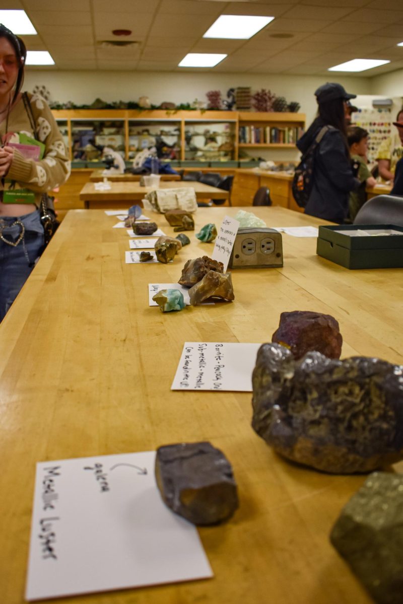 Rocks and minerals are displayed across several tables by Professor Samer Hariri for attendees to see up close  at the Optical World of Minerals workshop on March 14, 2024 from 6-7 p.m. in the Forum Building.