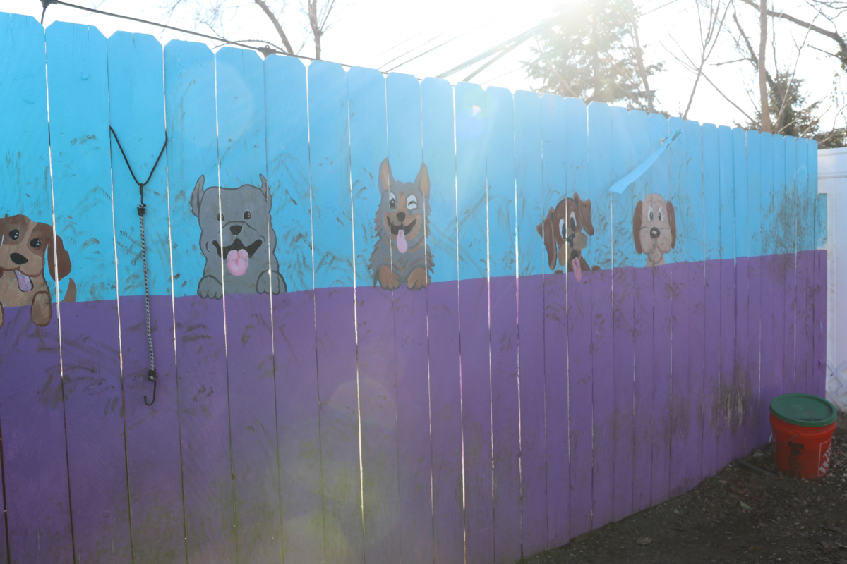 According to the HOL volunteer, Laurie, generous volunteers have donated their time to make the yard spaces extra special. A local artist painted a few of the adoptable dogs! 