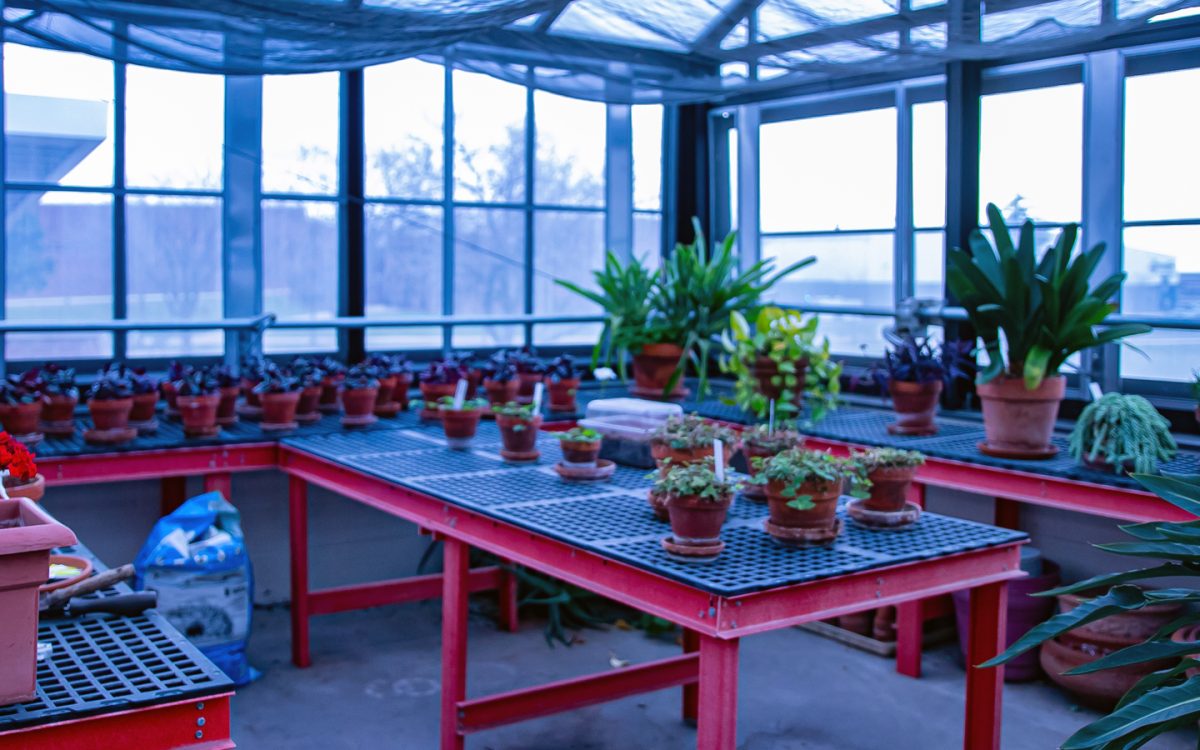 The Schoolcraft Greenhouse is located adjacent to the Forum Building.