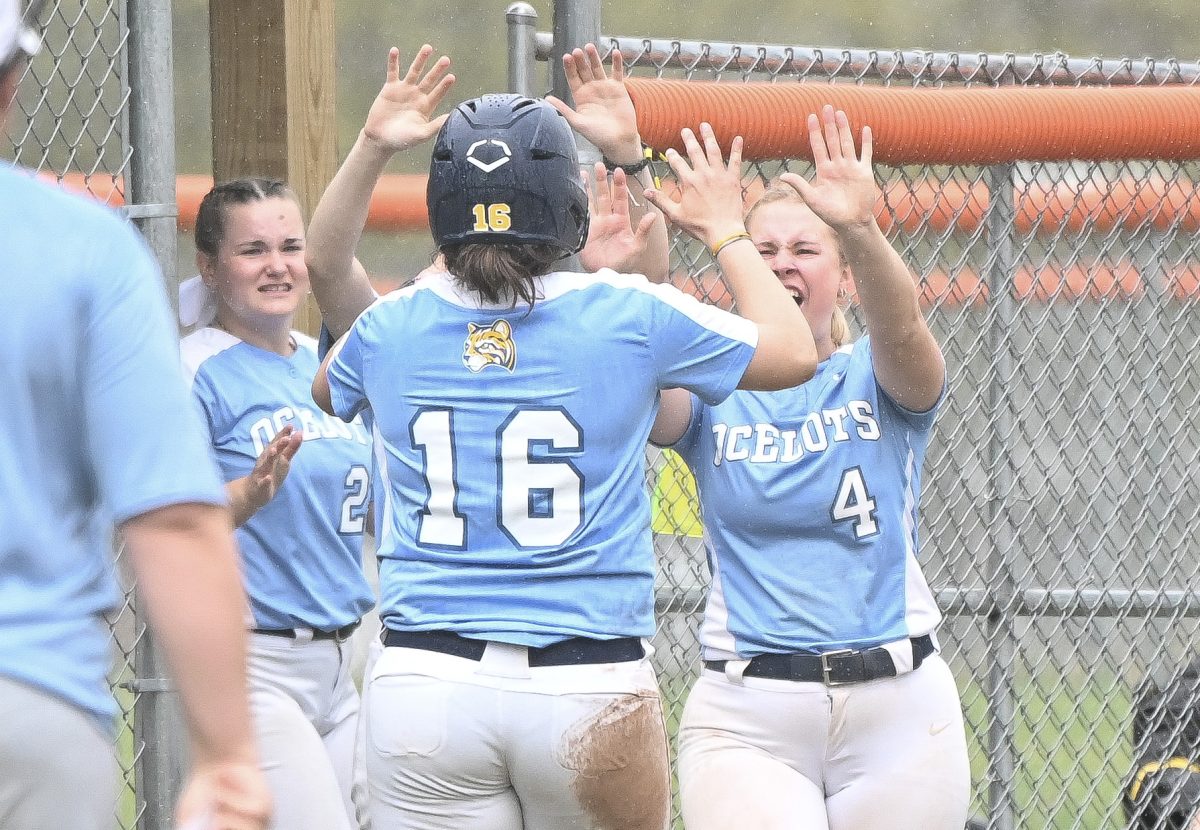 The Schoolcraft Ocelots played host to the Hawks from Henry Ford College in an MCCAA Eastern Division doubleheader and picked up two key wins on April 29, 2024 at Mission Field in Northville, Michigan.