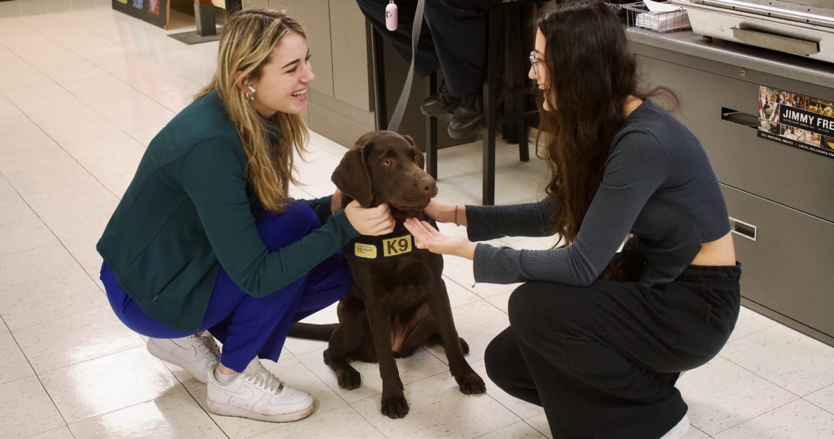 Comfort dog Mocha bringing smiles to students faces during Wagging Wednesdays in the Lower Level, Student Activities Center.