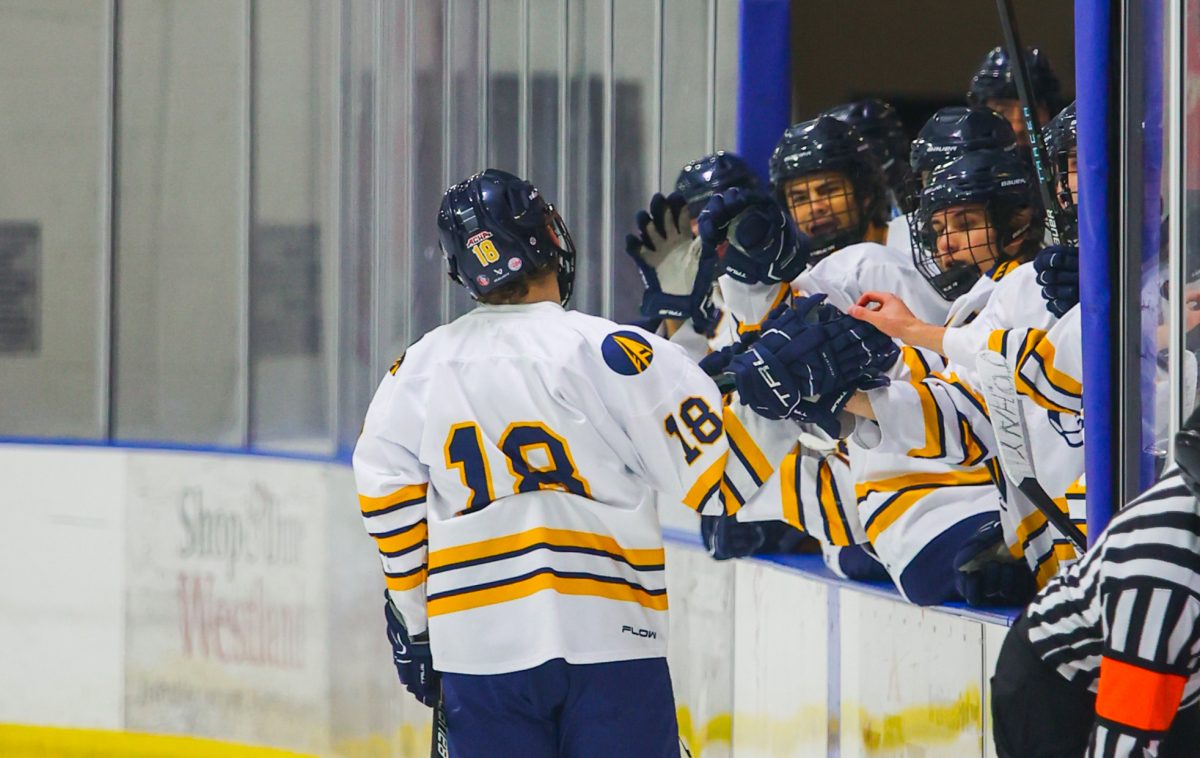 Schoolcraft Men's Hockey beats Ferris State 3-2 on January 17, 2025 at Mike Modano Arena in Westland, Michigan.