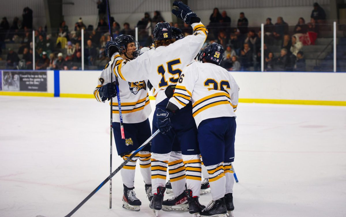 The Schoolcraft Men's Hockey team beat Michigan State 5-4 in a thriller of a game on Friday, January 31, 2025 at Mike Modano Arena in Westland, Michigan.