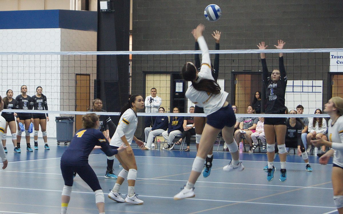 The Ocelots beat Henry Ford College in 3 sets on Monday, Sept. 15, 2025 at Schoolcraft College's Trinity Elite Sports Center.